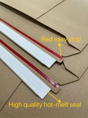 Eco Friendly Recycle Custom Corrugated Paper Book Mailer for Business Shopping Courier