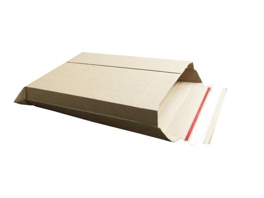 Eco Friendly Recycle Custom Corrugated Paper Book Mailer for Business Shopping Courier