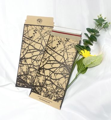Convenient and Durable Delivery Package Recycled Kraft Expandable Rigid Mailer for Books